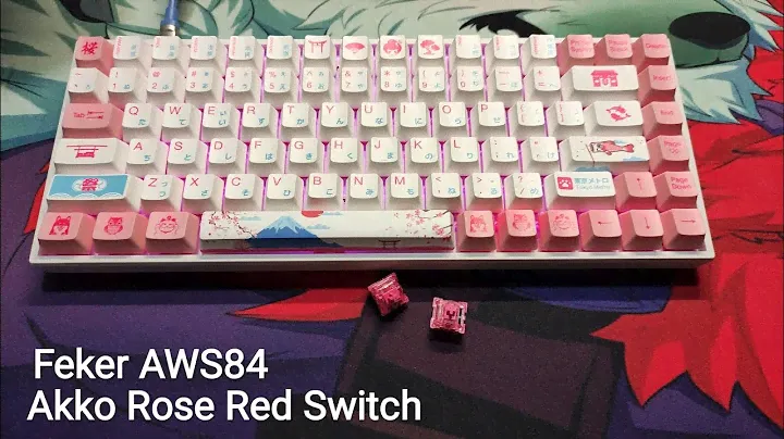 What does a $100  Custom Keyboard Sounds Like (Akko Rose Red)