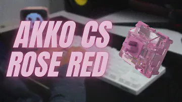 AKKO CS ROSE RED SWITCH STOCK TYPING TEST