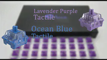 Обзор тактильных переключателей Ocean Blue и Lavender Purple от Akko