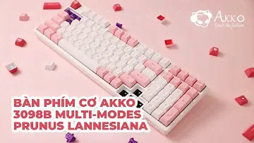[INTRO] Bàn phím cơ AKKO 3098B Multi-modes Prunus Lannesiana