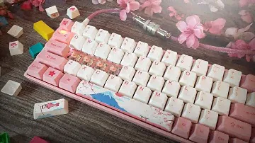 My Favorite Keyboard! | Akko 3068 Tokyo World Tour Edition Review